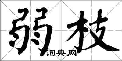 翁闿运弱枝楷书怎么写