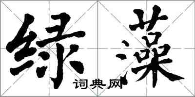 翁闿运绿藻楷书怎么写