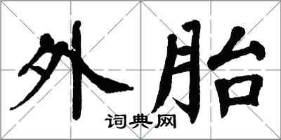 翁闿运外胎楷书怎么写