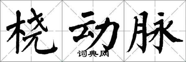 翁闿运桡动脉楷书怎么写