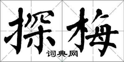 翁闿运探梅楷书怎么写