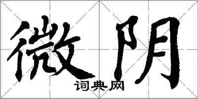 翁闿运微阴楷书怎么写