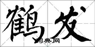 翁闿运鹤发楷书怎么写