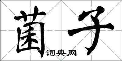 翁闿运菌子楷书怎么写