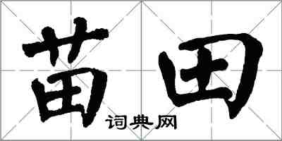 翁闿运苗田楷书怎么写