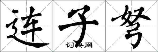 翁闿运连子弩楷书怎么写