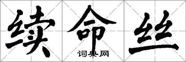 翁闿运续命丝楷书怎么写