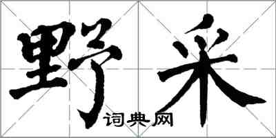 翁闿运野采楷书怎么写