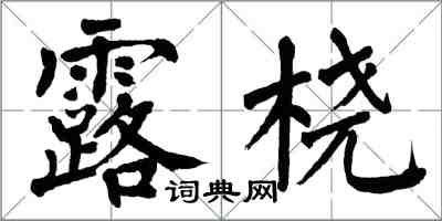 翁闿运露桡楷书怎么写