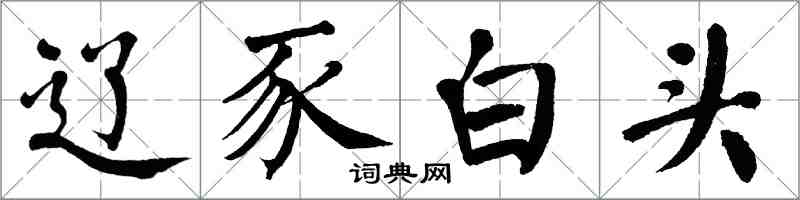 翁闿运辽豕白头楷书怎么写