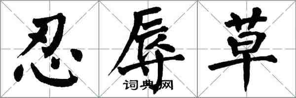 翁闿运忍辱草楷书怎么写