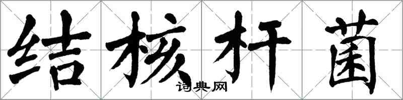 翁闿运结核杆菌楷书怎么写