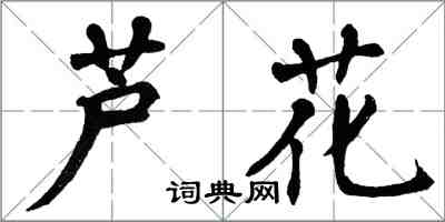 翁闿运芦花楷书怎么写