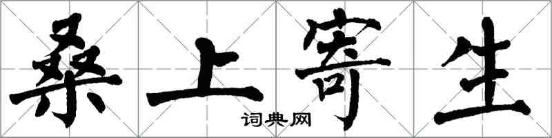 翁闿运桑上寄生楷书怎么写