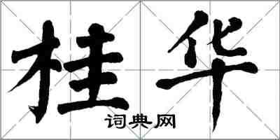 翁闿运桂华楷书怎么写