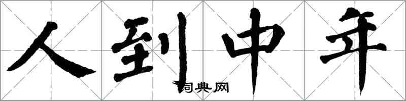 翁闿运人到中年楷书怎么写