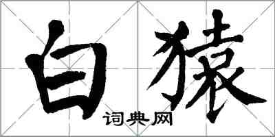 翁闿运白猿楷书怎么写