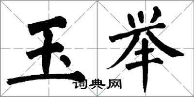 翁闿运玉举楷书怎么写