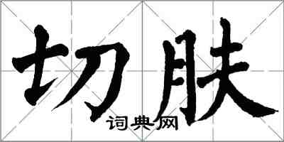 翁闿运切肤楷书怎么写