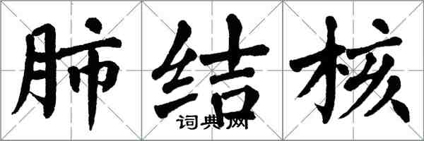 翁闿运肺结核楷书怎么写