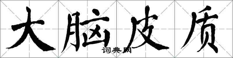 翁闿运大脑皮质楷书怎么写