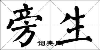 翁闿运旁生楷书怎么写