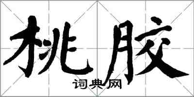 翁闿运桃胶楷书怎么写