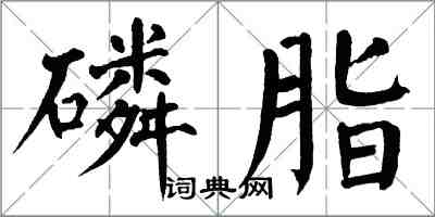 翁闿运磷脂楷书怎么写