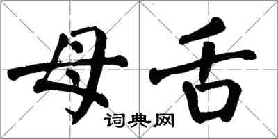 翁闿运母舌楷书怎么写