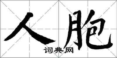 翁闿运人胞楷书怎么写