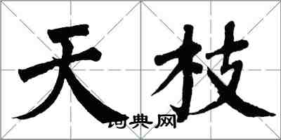 翁闿运天枝楷书怎么写