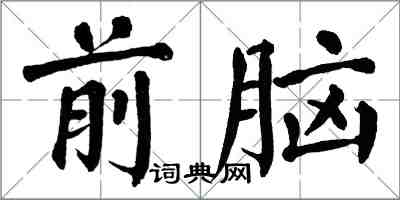 翁闿运前脑楷书怎么写