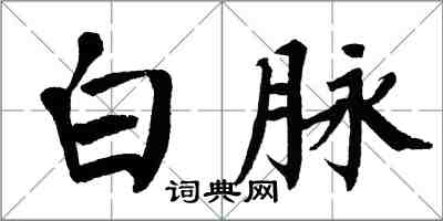 翁闿运白脉楷书怎么写