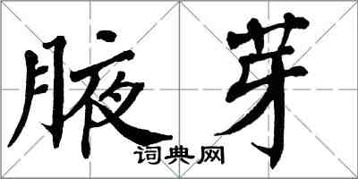 翁闿运腋芽楷书怎么写