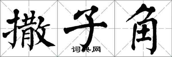 翁闿运撒子角楷书怎么写