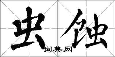 翁闿运虫蚀楷书怎么写