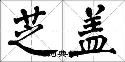 翁闿运芝盖楷书怎么写