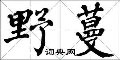 翁闿运野蔓楷书怎么写