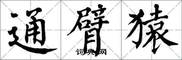 翁闿运通臂猿楷书怎么写