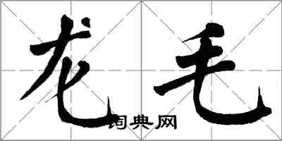 翁闿运龙毛楷书怎么写