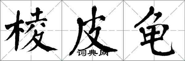 翁闿运棱皮龟楷书怎么写