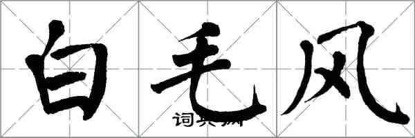 翁闿运白毛风楷书怎么写