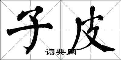 翁闿运子皮楷书怎么写