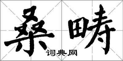 翁闿运桑畴楷书怎么写