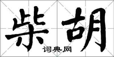 翁闿运柴胡楷书怎么写