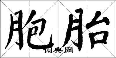 翁闿运胞胎楷书怎么写