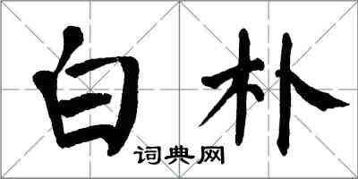 翁闿运白朴楷书怎么写