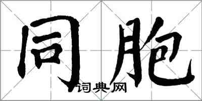 翁闿运同胞楷书怎么写