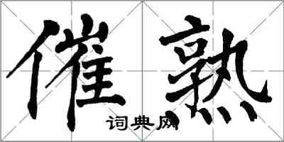 翁闿运催熟楷书怎么写