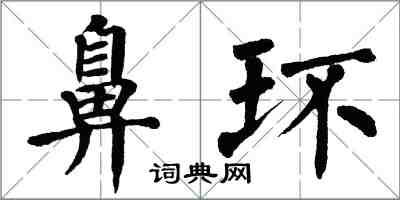 翁闿运鼻环楷书怎么写